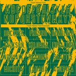 Soccer Sublimation Jersey Custom Uniform Kelly Gold Green