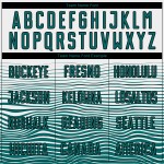 Custom Gradient Uniform Line Soccer White Sublimation Jersey Teal-Black Custom Gradient Uniform Line Soccer White Sublimation Jersey Teal-Black