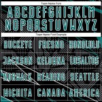 Lines Teal-White Black Sublimation Soccer Custom Jersey Uniform Sports